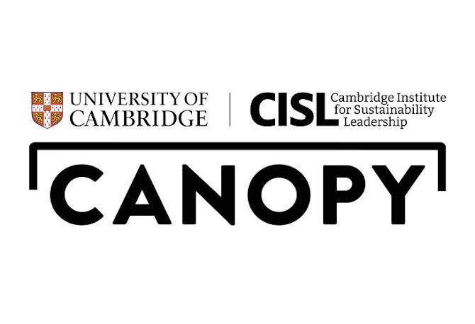 Canopy