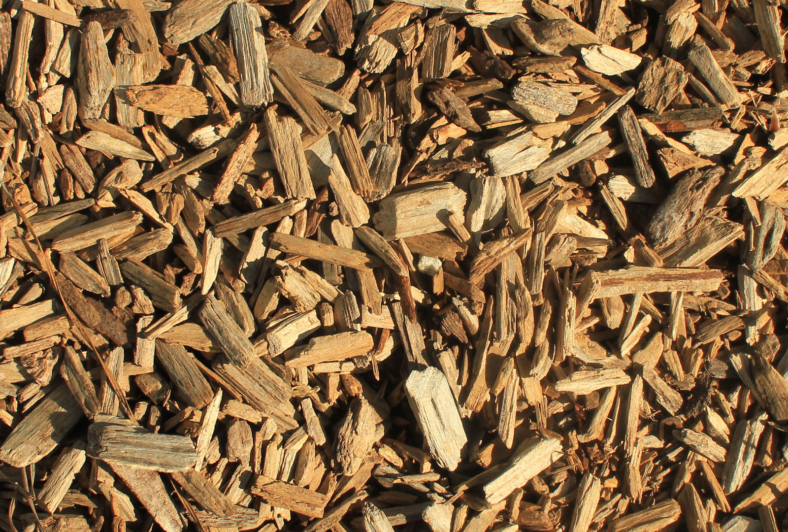 Wood chips, an example of waste biomass feedstock